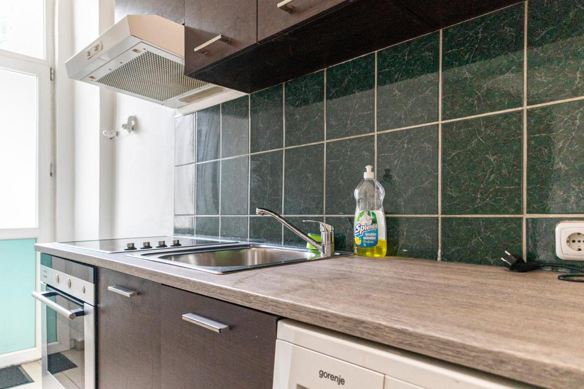 Modern 1br Tv & Wifi, Well Connected Apartment Wien