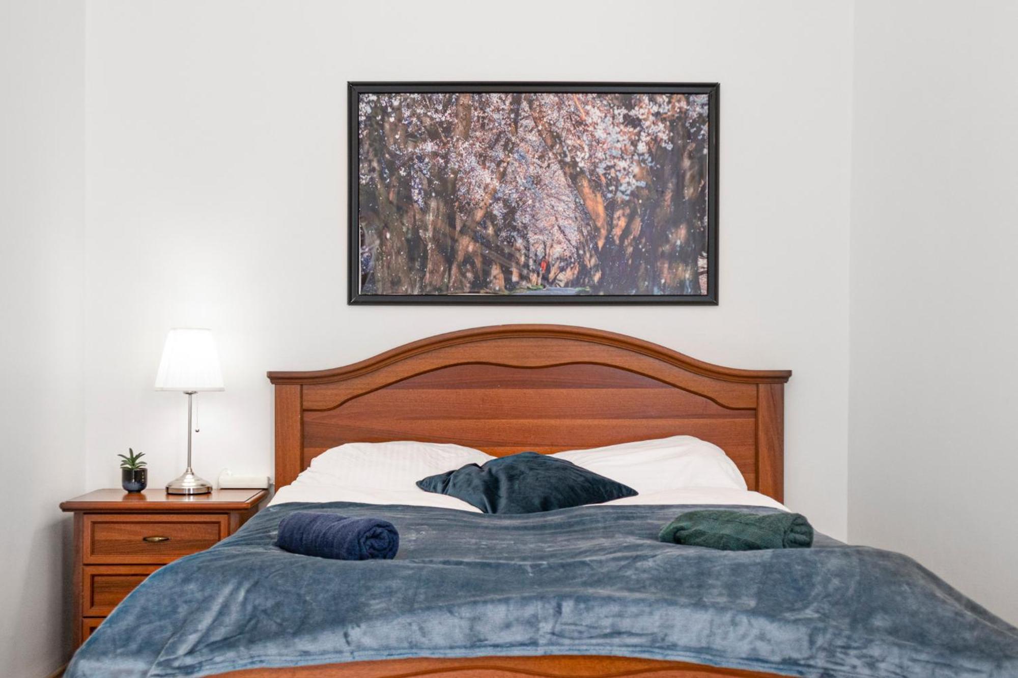 Modern 1br Tv & Wifi, Well Connected Apartment